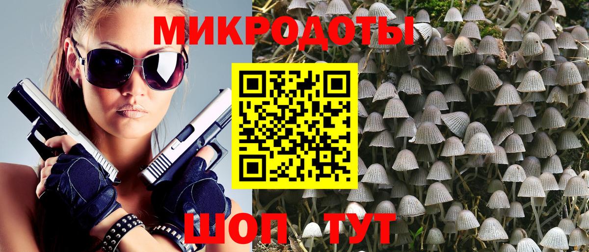Псилоцибиновые грибы Cubensis Саратов
